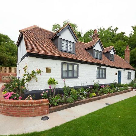 Bed and Breakfast The Dog And Badger Marlow  Exterior foto
